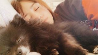 犬と一緒に寝るモデル・山本美月