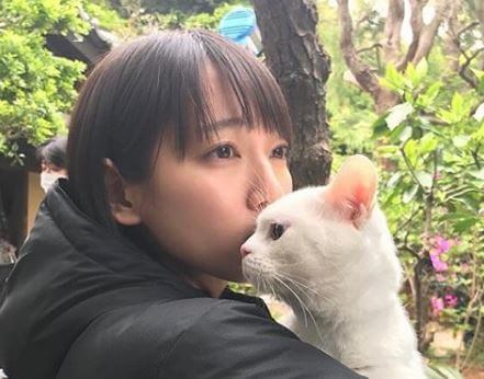 子猫を抱く女優・吉岡里帆