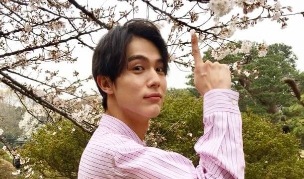 桜を眺める俳優・中川大志