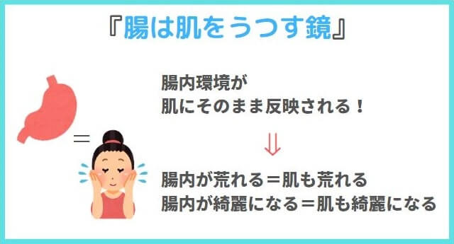 腸内環境をきれいにすればニキビが治る